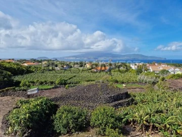 Açores: os moinhos de vento da ilha do Pico - Portugal - SAPO Viagens