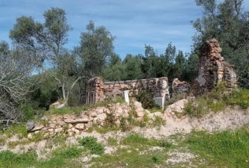 Ruine 3 Pièces