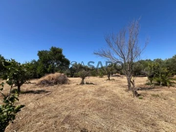 Terreno Urbano