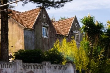 House 8 Bedrooms