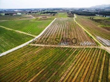 Finca agrícola