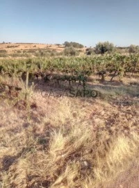 Herdade