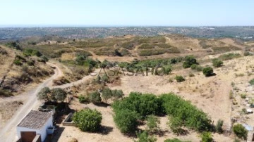 Parcela vivienda