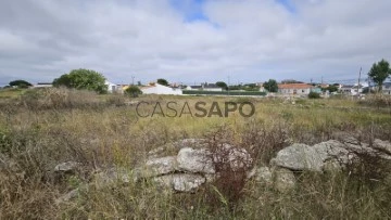 Terreno Urbano