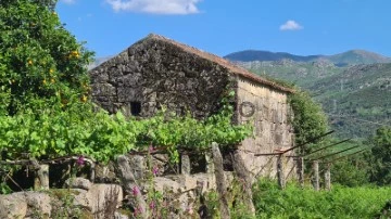 Terreno Rústico