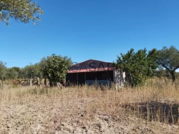 Farm Land 1 Bedroom