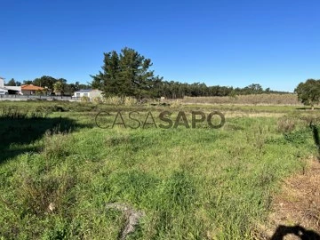 Parcela vivienda