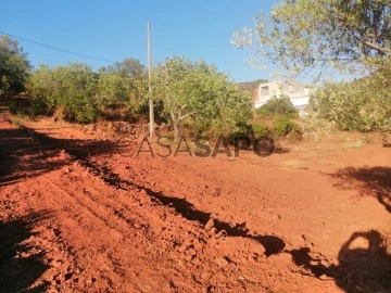 Terreno Urbano