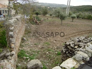 Terrain Rustique