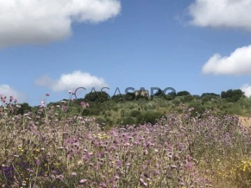 Monte Alentejano T6