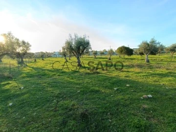 Solar Urbano