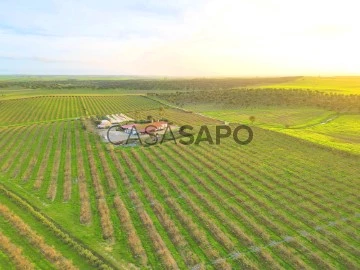 Explotación agraria 3 habitaciones