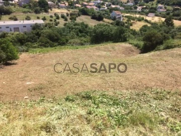 Terrain Rustique