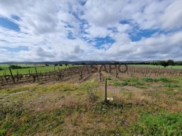 Terrain Rustique