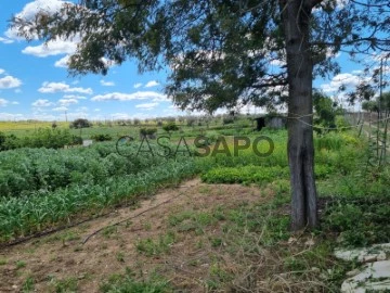 Farm Land 1 Bedroom