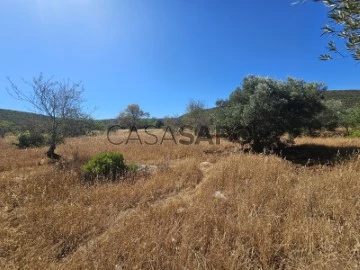 Terrain Rustique