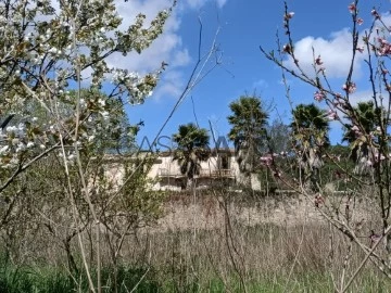 Finca Rustica 7 habitaciones