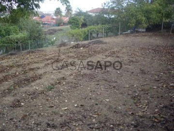 Terreno Urbano