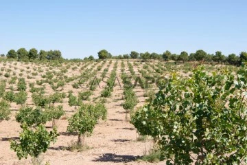 Finca agrícola