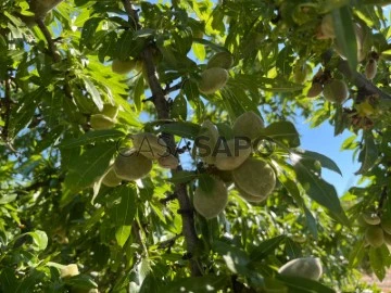 Finca agrícola