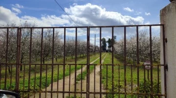 Finca agrícola