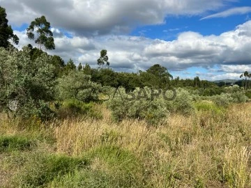 Terrain Rustique