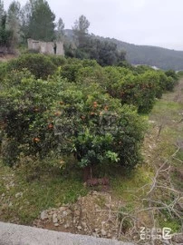 Finca Rustica