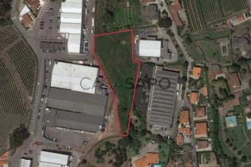 Lote Industrial