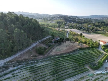 Terrain Rustique