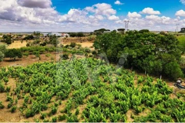 Finca 2 habitaciones