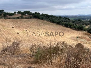 Terrain Rustique