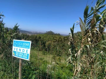 Terreno Rústico