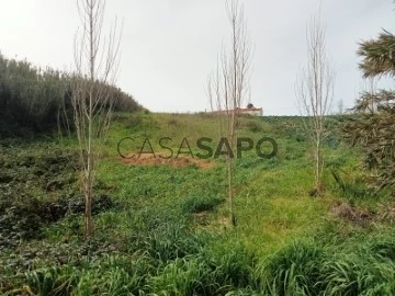 Loteamento Habitacional