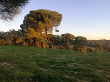 Corps de ferme de l'Alentejo