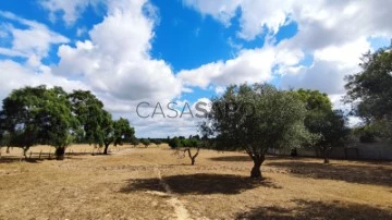 Finca 1 habitación