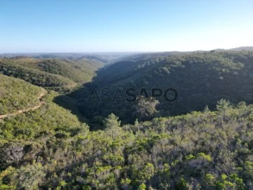 Terreno Urbano