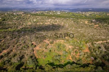 Terrain Rustique