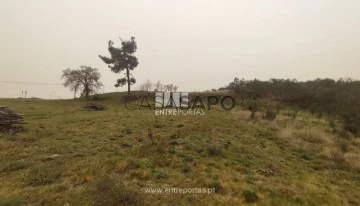 Terreno 1 habitación