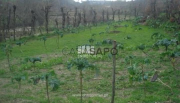 Terreno 1 habitación