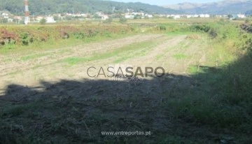 Terreno 1 habitación