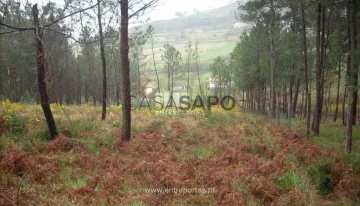 Terreno 1 habitación