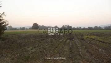 Terreno 1 habitación