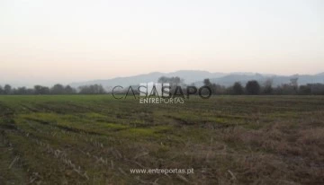 Terreno 1 habitación