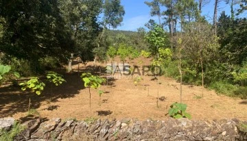 Terreno 1 habitación