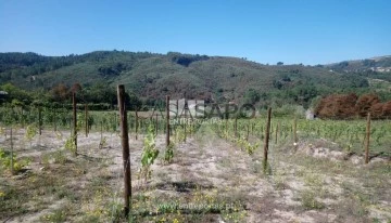 Terreno 1 habitación