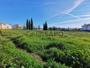 Residential Plot