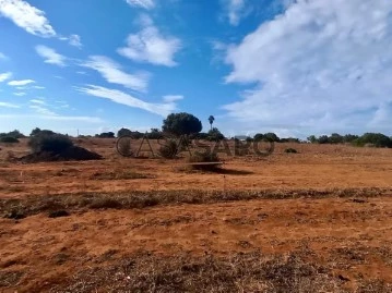 Terreno Rústico