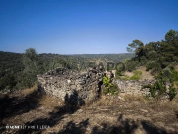 Ruine 2 Pièces+1