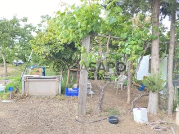 Finca agrícola 1 habitacions + 2 hab. auxiliars