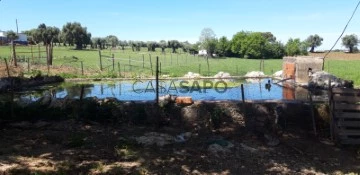 Corps de ferme de l'Alentejo 4 Pièces